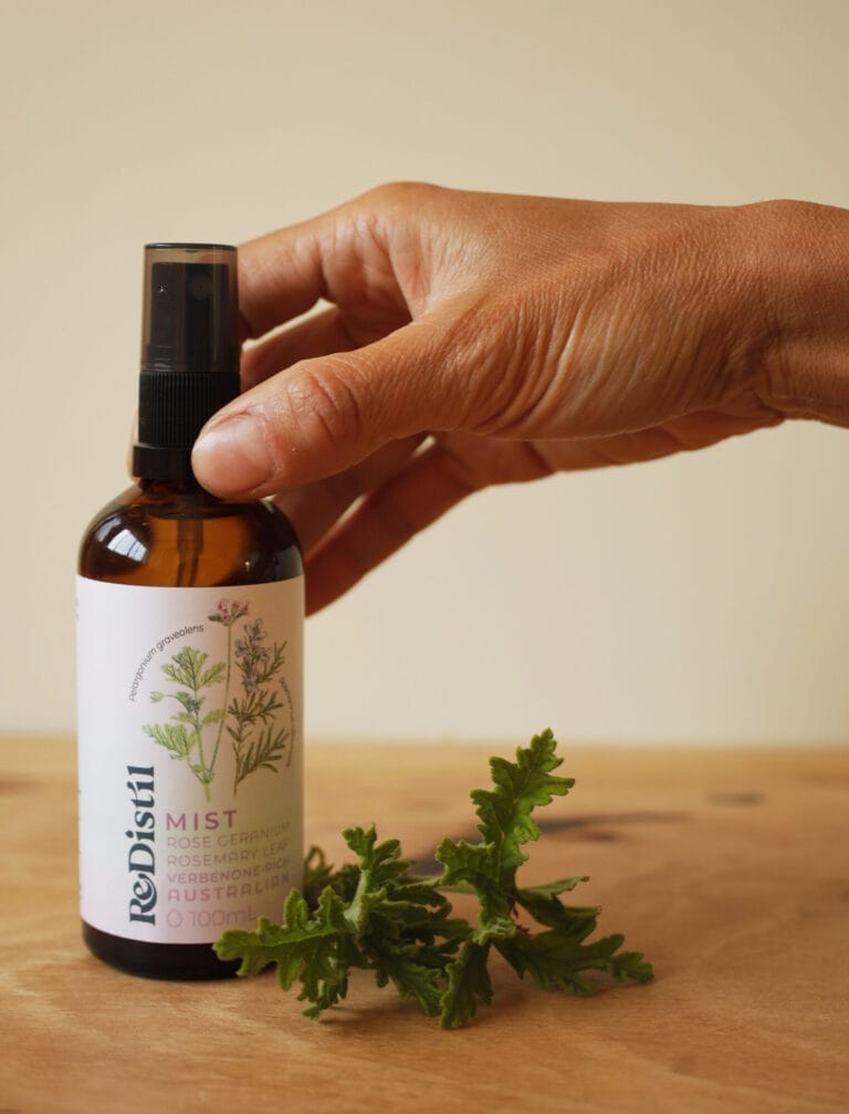 Rose geranium and rosemary leaf mist