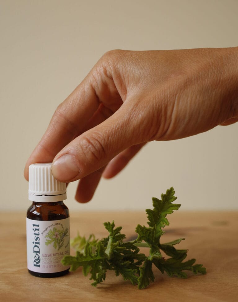Rose geranium & rosemary leaf essential oil